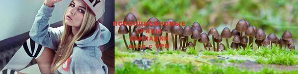 MDMA Медногорск