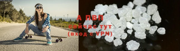 крисы Медвежьегорск
