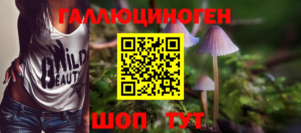 Качканар  Псилоцибиновые грибы Psilocybe  Вход с VPN  Псилоцибиновые грибы Psilocybe 