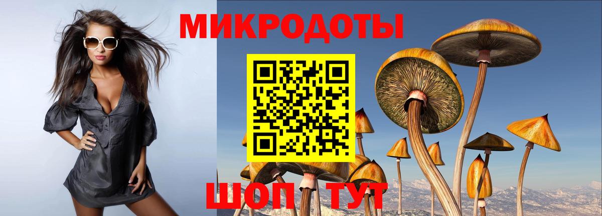 Псилоцибиновые грибы Cubensis Качканар